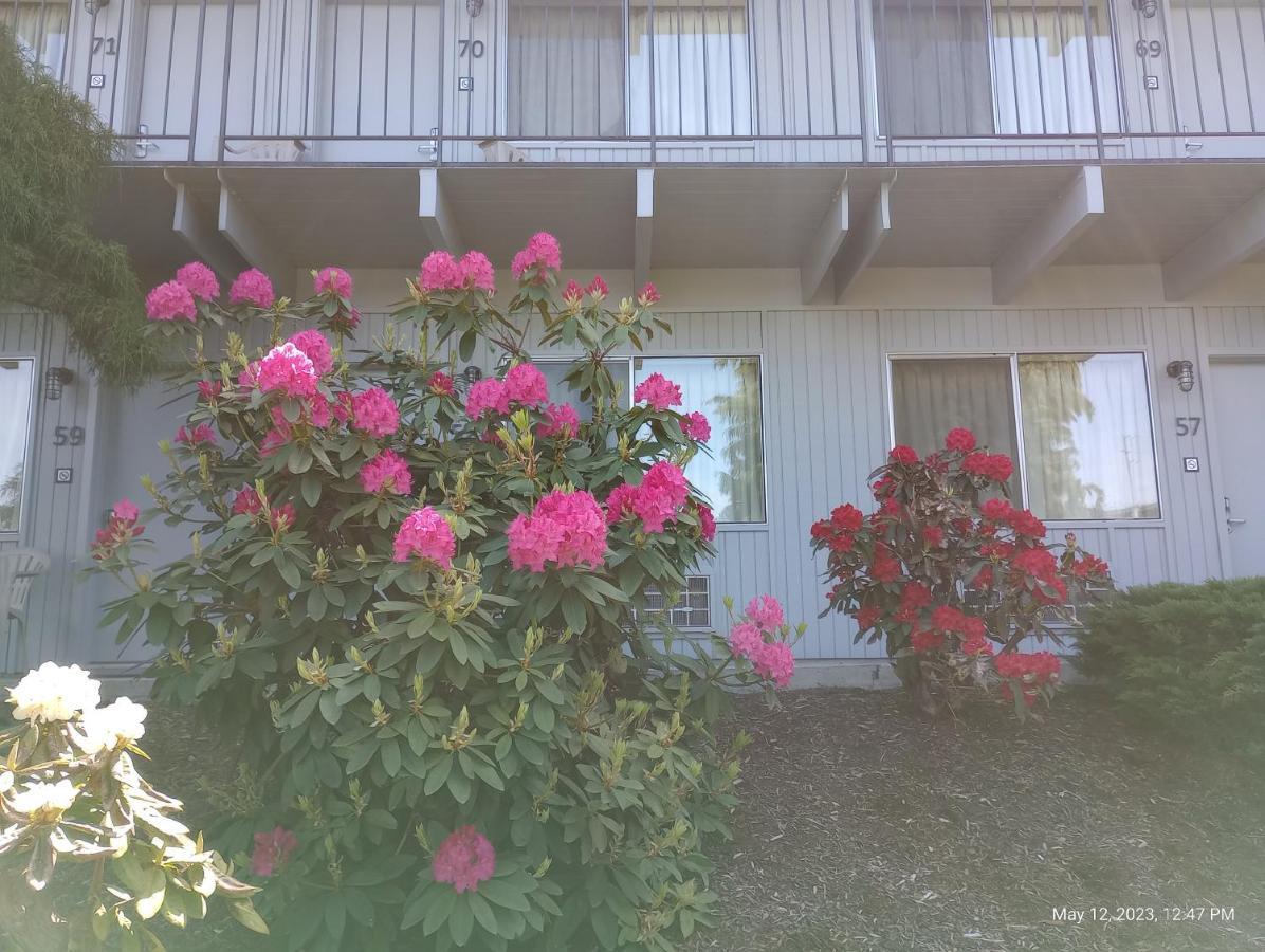 Cocusa Motel Μπέρλινγκτον Εξωτερικό φωτογραφία